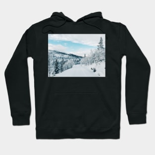 Wintertime in Scandinavia - Snowy Landscape in Norwegian National Park Hoodie